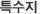특수지